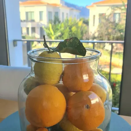 Kyrenia Mountains & Pool Oasis Close To The Merit Casino & Apartman